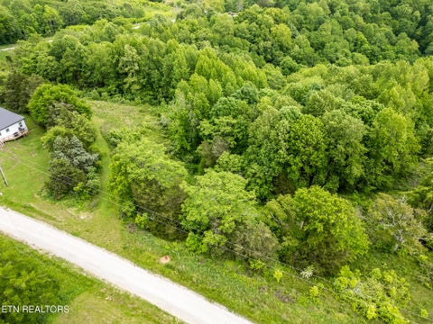 Tiny photo for 32 Lake Bluff Rd, Baxter, TN 38544 (MLS # 1357629)