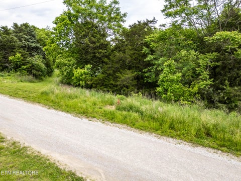Tiny photo for 32 Lake Bluff Rd, Baxter, TN 38544 (MLS # 1357629)