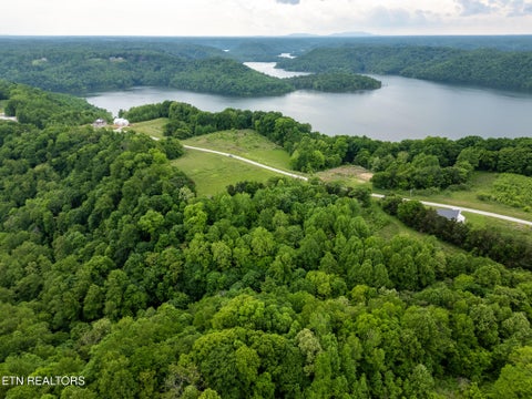 Tiny photo for 32 Lake Bluff Rd, Baxter, TN 38544 (MLS # 1357629)