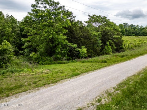 Tiny photo for 32 Lake Bluff Rd, Baxter, TN 38544 (MLS # 1357629)