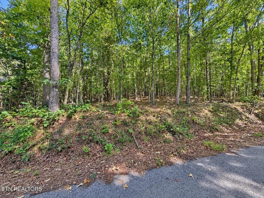 Photo of 105 County Road 83, Athens, TN 37303 (MLS # 1355109)