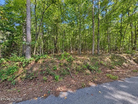 Tiny photo for 105 County Road 83, Athens, TN 37303 (MLS # 1355109)