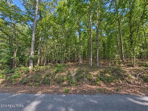 Tiny photo for 105 County Road 83, Athens, TN 37303 (MLS # 1355109)