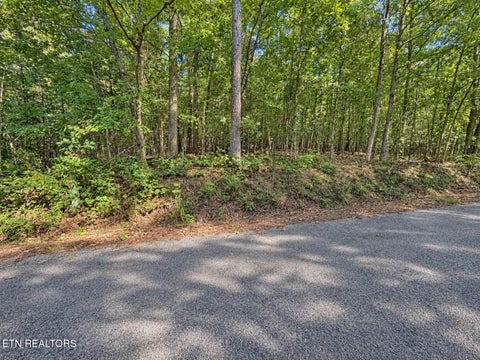 Tiny photo for 105 County Road 83, Athens, TN 37303 (MLS # 1355109)