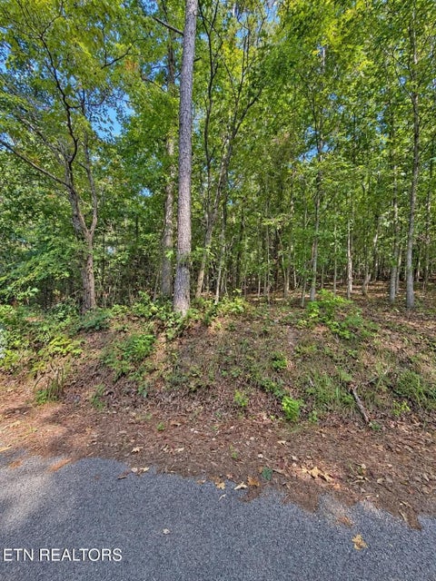 Tiny photo for 105 County Road 83, Athens, TN 37303 (MLS # 1355109)