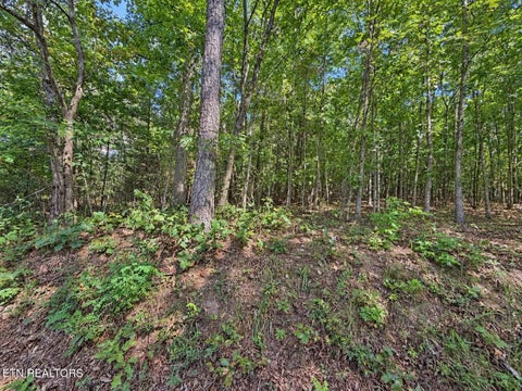 Tiny photo for 105 County Road 83, Athens, TN 37303 (MLS # 1355109)