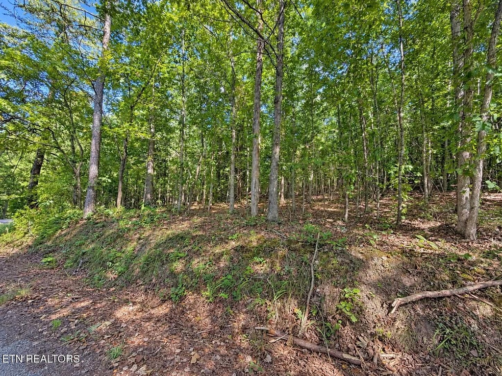 Photo of 105 County Road 83, Athens, TN 37303 (MLS # 1355109)