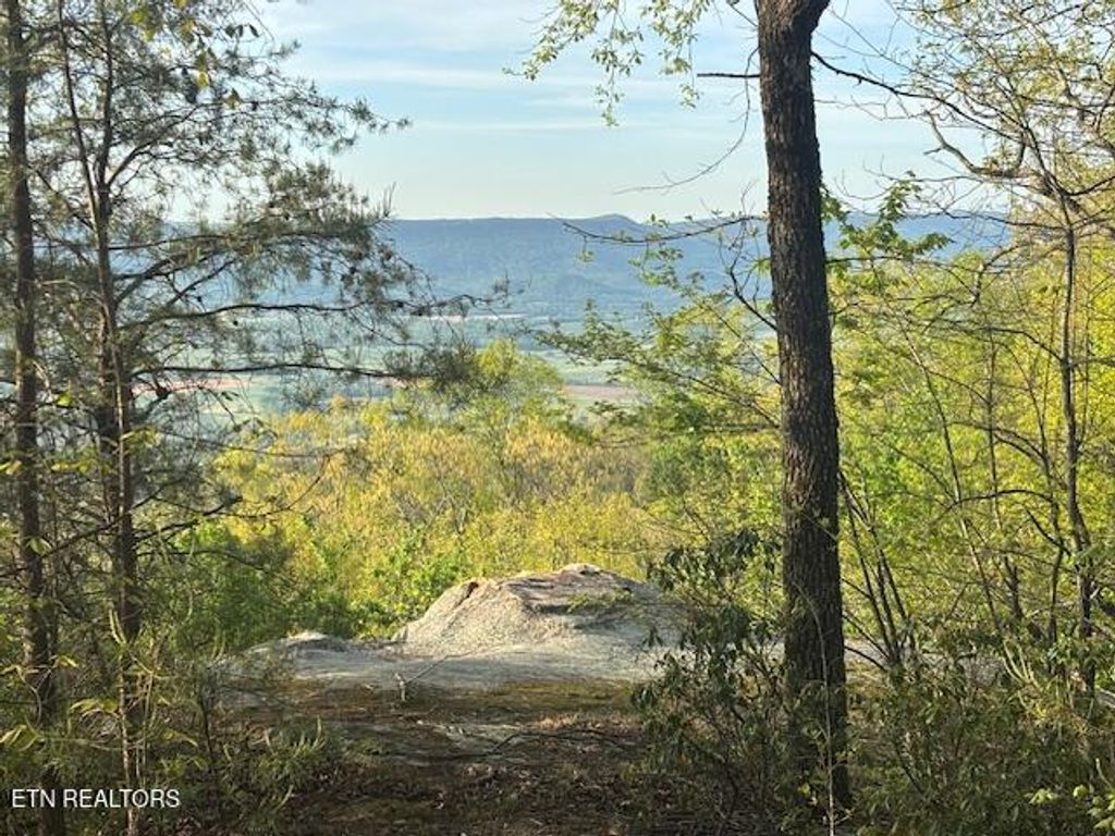 Photo of 0 Gray Rock View, Pikeville, TN 37367 (MLS # 1339087)