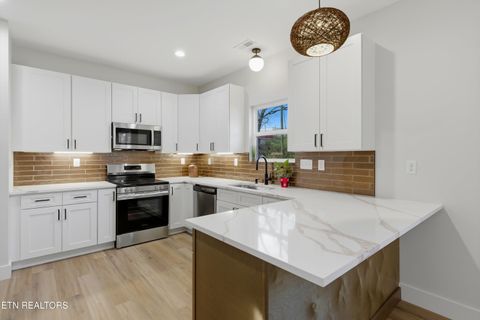 Tiny photo for 818 W Anderson Ave, Knoxville, TN 37921 (MLS # 1343287)