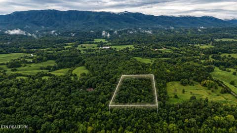 Photo of 1903 Tree Tops Lane, Seymour, TN 37865 (MLS # 1352918)