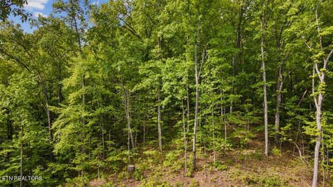 Featured picture for the property 1245948