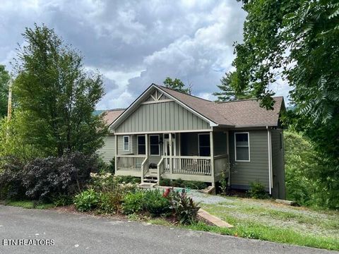 Photo of 228 Ace Gap Rd, Townsend, TN 37882 (MLS # 1348166)