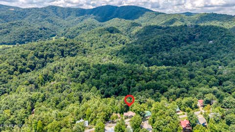 Tiny photo for 228 Ace Gap Rd, Townsend, TN 37882 (MLS # 1348166)
