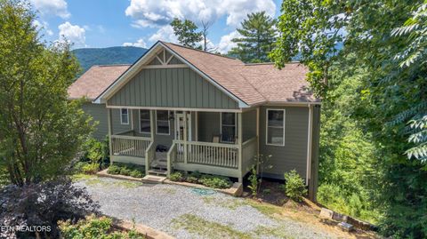 Photo of 228 Ace Gap Rd, Townsend, TN 37882 (MLS # 1348166)