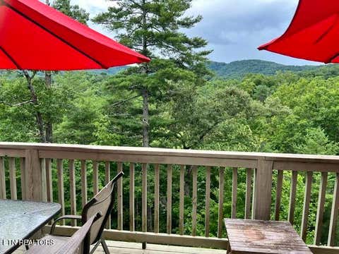 Tiny photo for 228 Ace Gap Rd, Townsend, TN 37882 (MLS # 1348166)