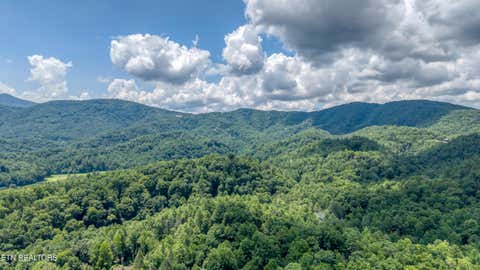 Tiny photo for 228 Ace Gap Rd, Townsend, TN 37882 (MLS # 1348166)