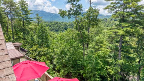 Tiny photo for 228 Ace Gap Rd, Townsend, TN 37882 (MLS # 1348166)