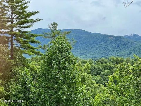 Tiny photo for 228 Ace Gap Rd, Townsend, TN 37882 (MLS # 1348166)