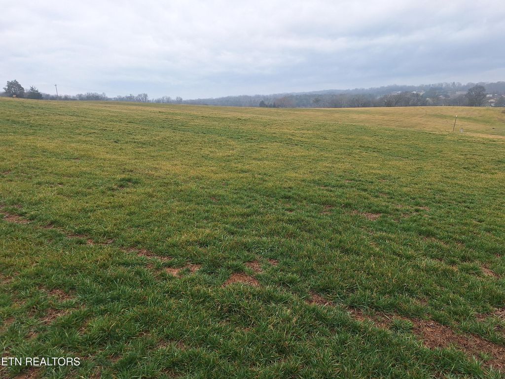 Photo of 21075 Meadow Rd #Lot 7, Greenback, TN 37742 (MLS # 1290193)