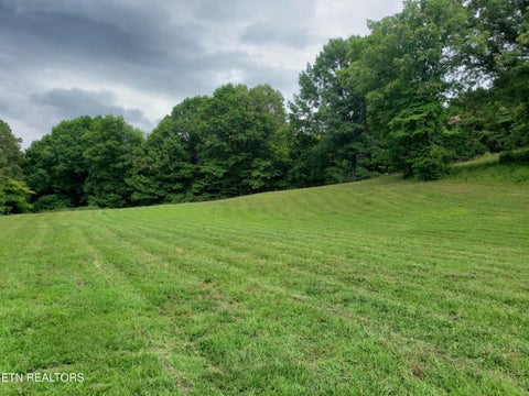 Tiny photo for 2143 Everett Rd, Knoxville, TN 37932 (MLS # 1354112)