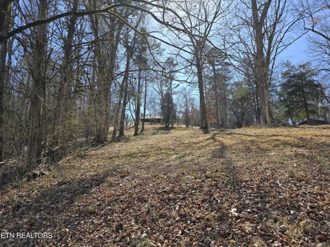 Tiny photo for 2143 Everett Rd, Knoxville, TN 37932 (MLS # 1354112)