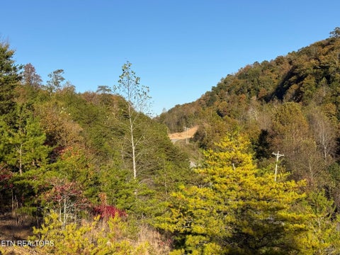 Tiny photo for 97 Marina Landing Rd, Tazewell, TN 37879 (MLS # 1360250)