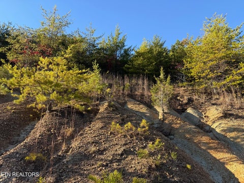 Tiny photo for 97 Marina Landing Rd, Tazewell, TN 37879 (MLS # 1360250)