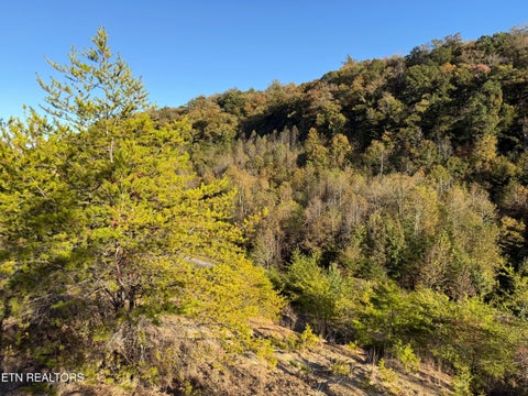 Tiny photo for 97 Marina Landing Rd, Tazewell, TN 37879 (MLS # 1360250)