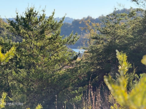 Tiny photo for 97 Marina Landing Rd, Tazewell, TN 37879 (MLS # 1360250)