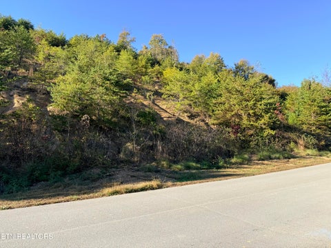 Tiny photo for 97 Marina Landing Rd, Tazewell, TN 37879 (MLS # 1360250)