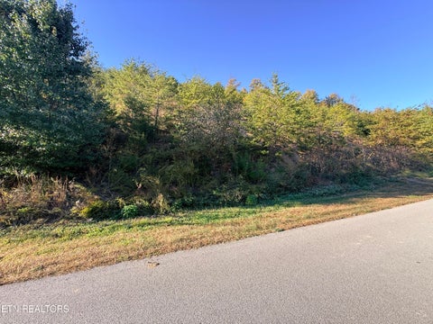 Tiny photo for 97 Marina Landing Rd, Tazewell, TN 37879 (MLS # 1360250)