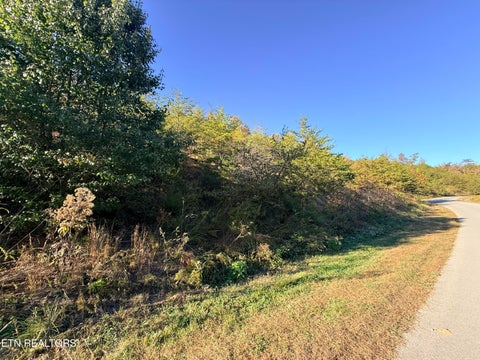 Tiny photo for 97 Marina Landing Rd, Tazewell, TN 37879 (MLS # 1360250)