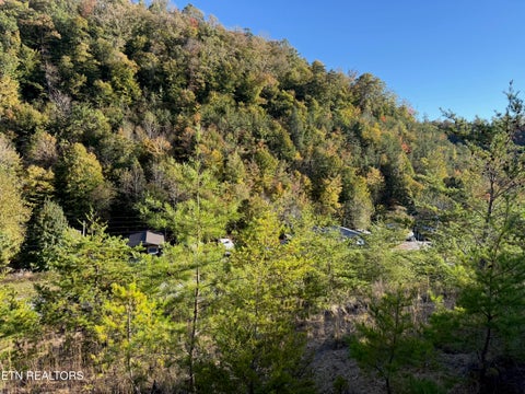 Tiny photo for 97 Marina Landing Rd, Tazewell, TN 37879 (MLS # 1360250)
