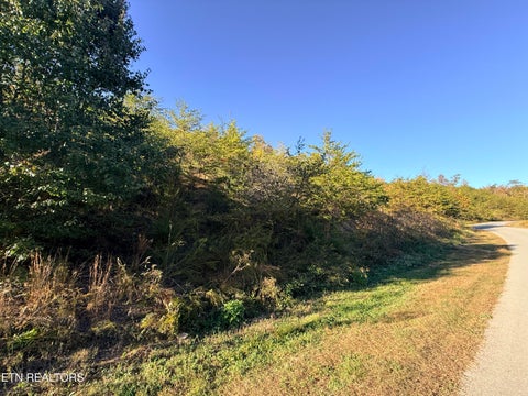 Tiny photo for 97 Marina Landing Rd, Tazewell, TN 37879 (MLS # 1360250)