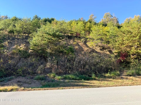 Tiny photo for 97 Marina Landing Rd, Tazewell, TN 37879 (MLS # 1360250)