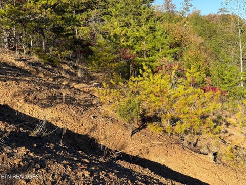 Tiny photo for 97 Marina Landing Rd, Tazewell, TN 37879 (MLS # 1360250)