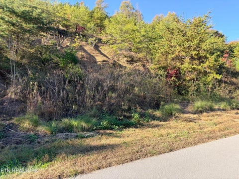 Tiny photo for 97 Marina Landing Rd, Tazewell, TN 37879 (MLS # 1360250)