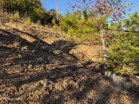 Tiny photo for 97 Marina Landing Rd, Tazewell, TN 37879 (MLS # 1360250)