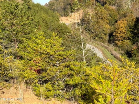 Tiny photo for 97 Marina Landing Rd, Tazewell, TN 37879 (MLS # 1360250)