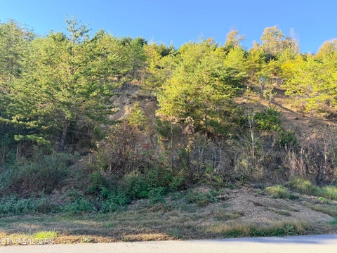 Tiny photo for 97 Marina Landing Rd, Tazewell, TN 37879 (MLS # 1360250)
