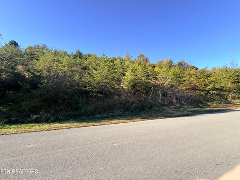 Tiny photo for 97 Marina Landing Rd, Tazewell, TN 37879 (MLS # 1360250)