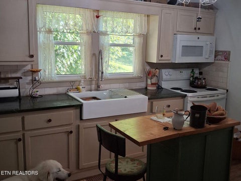 Tiny photo for 272 Chittum Rd, Tazewell, TN 37879 (MLS # 1357688)