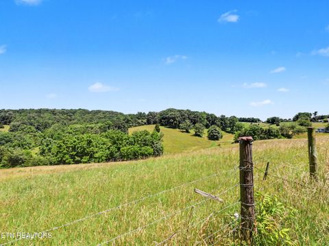 Tiny photo for 848 Lakeshore Rd, Talbott, TN 37877 (MLS # 1343608)