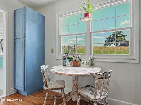 Tiny photo for 848 Lakeshore Rd, Talbott, TN 37877 (MLS # 1343608)