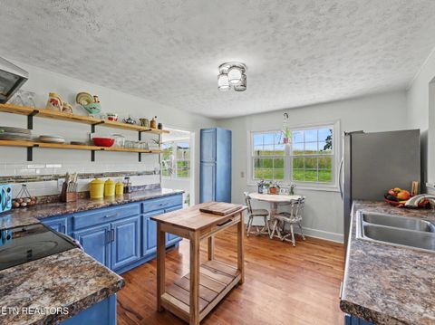 Tiny photo for 848 Lakeshore Rd, Talbott, TN 37877 (MLS # 1343608)