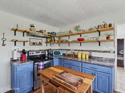 Tiny photo for 848 Lakeshore Rd, Talbott, TN 37877 (MLS # 1343608)