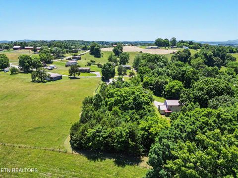 Tiny photo for 848 Lakeshore Rd, Talbott, TN 37877 (MLS # 1343608)