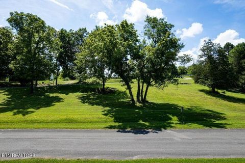 .61 County Road 232 Niota TN 37826