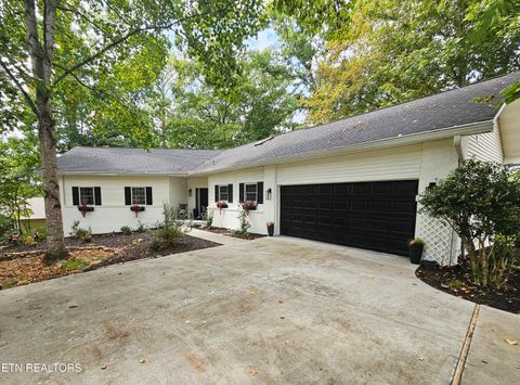 Photo of 125 Chanusi Way, Loudon, TN 37774 (MLS # 1320261)