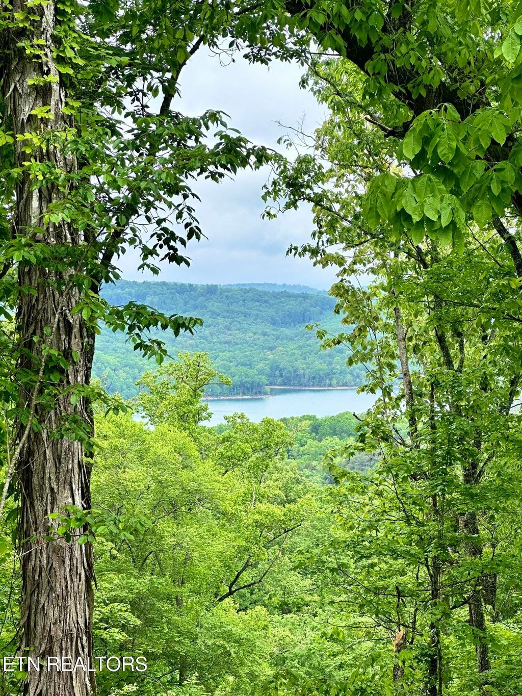 Photo of 731 Russell Brothers Rd, Sharps Chapel, TN 37866 (MLS # 1327626)